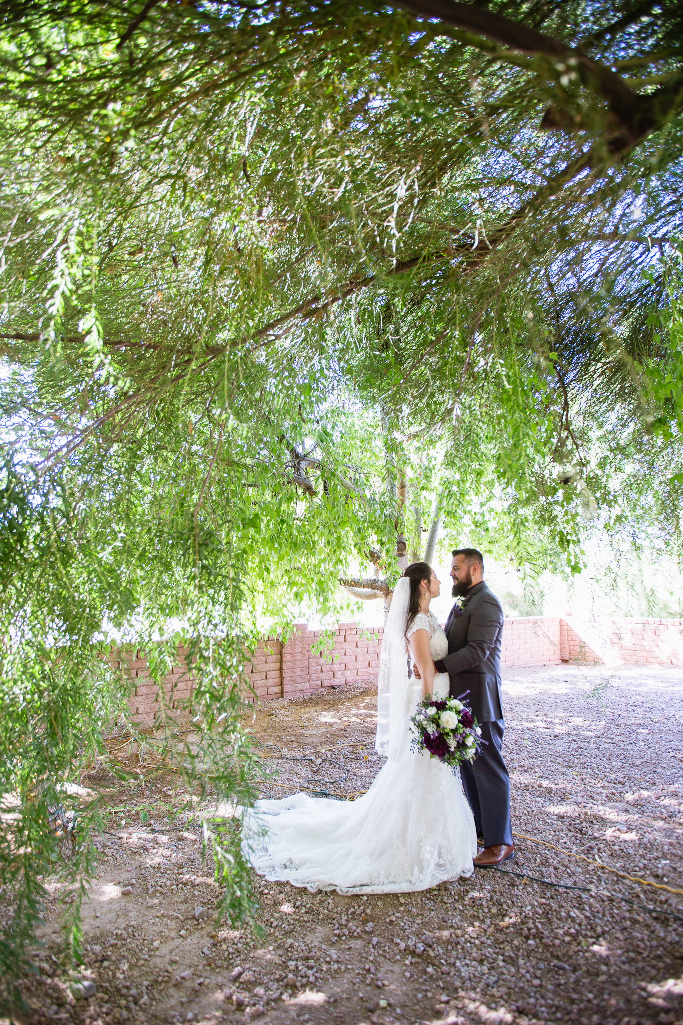 Bride and groom looking at each other under a tree at their Schnepf Farm's wedding by Arizona wedding photographers PMA Photography.