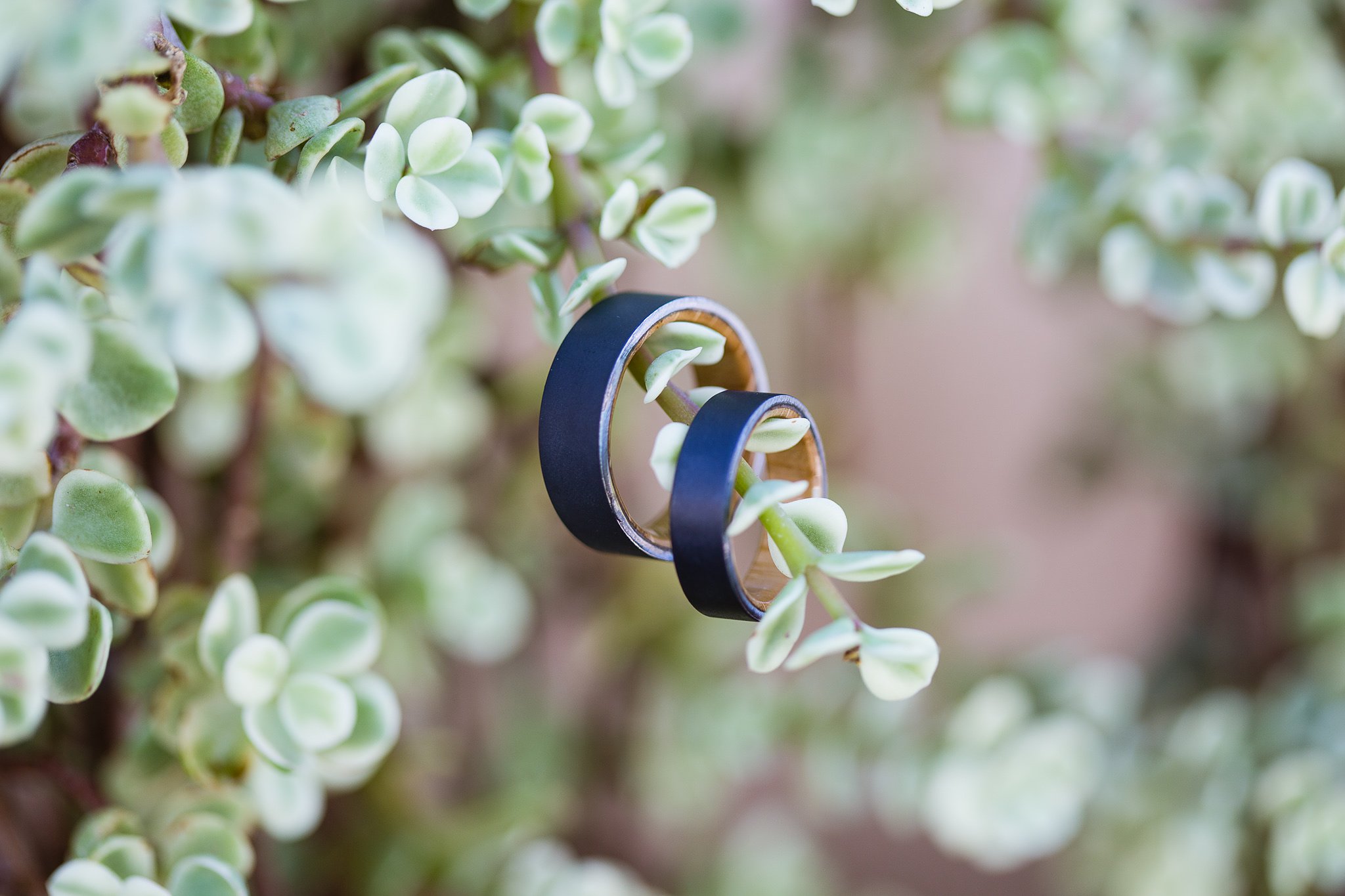 Granite and wood alternative wedding bands on succulent plant in garden by Arizona wedding photographers PMA Photography.