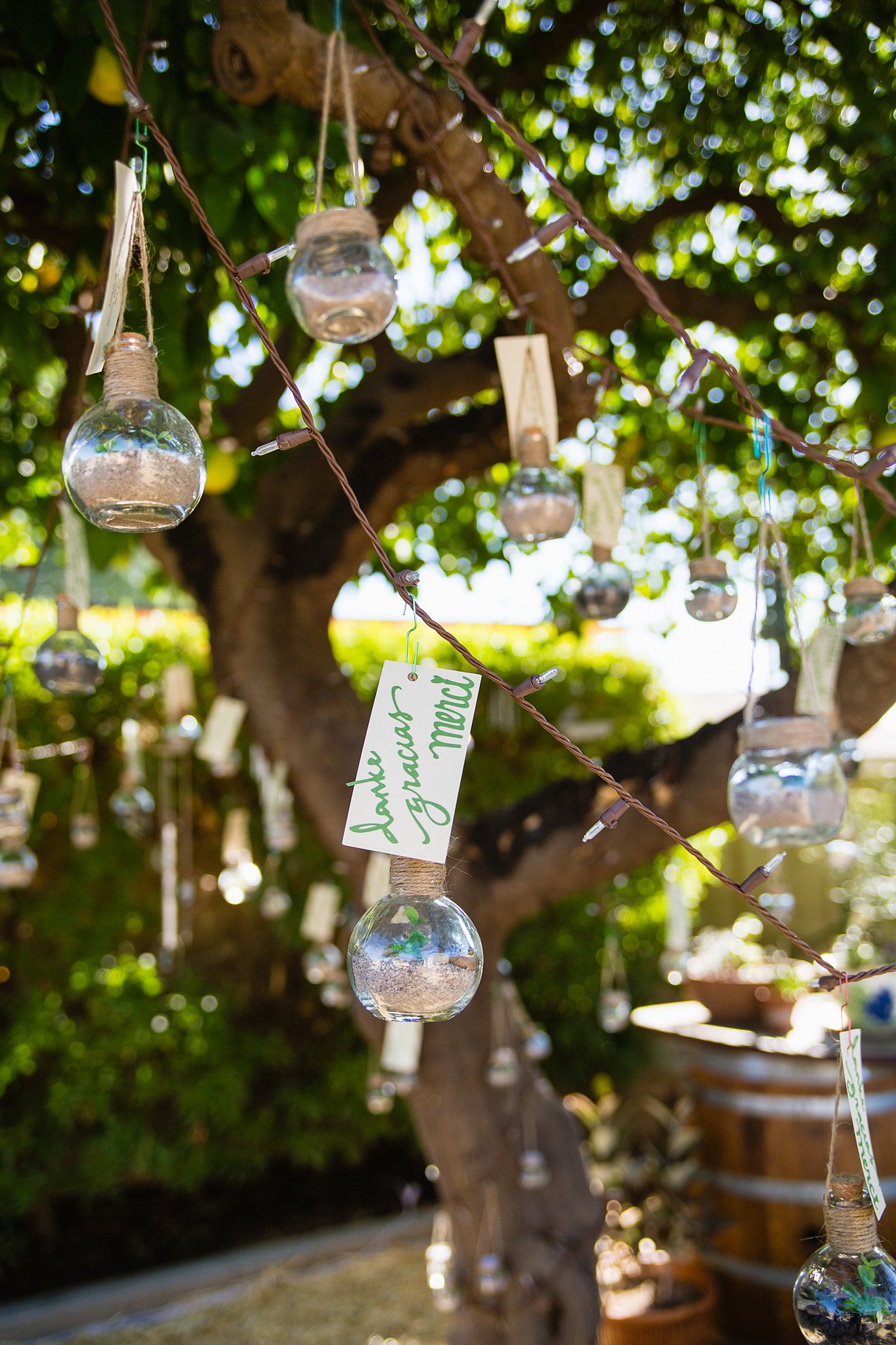 Handmade desert terrarium wedding favors hanging from a garden tree decorated with lights by Arizona wedding photographer PMA Photography.