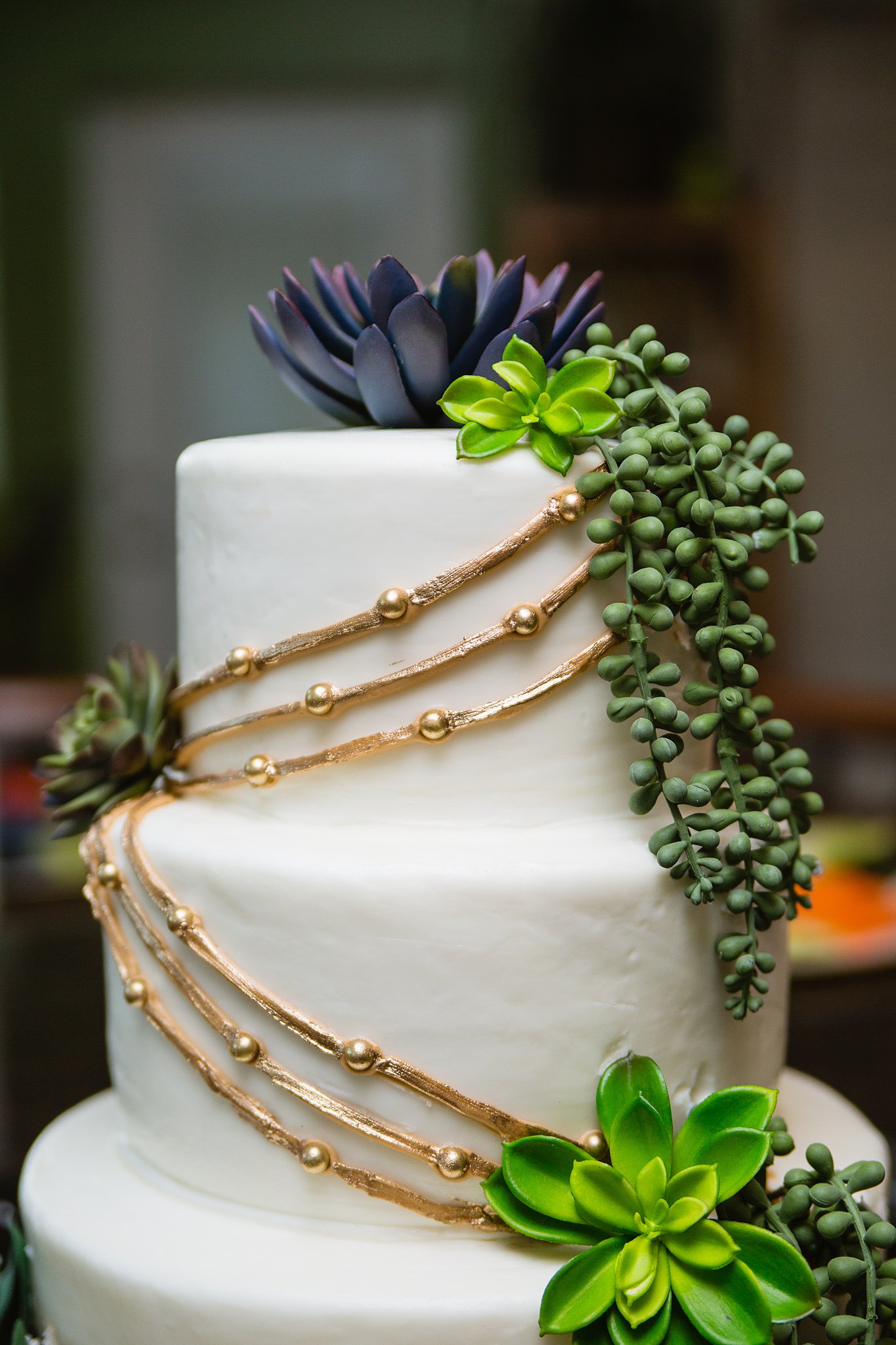 Succulent and gold decorated boho inspired wedding cake by wedding photographer PMA Photography.