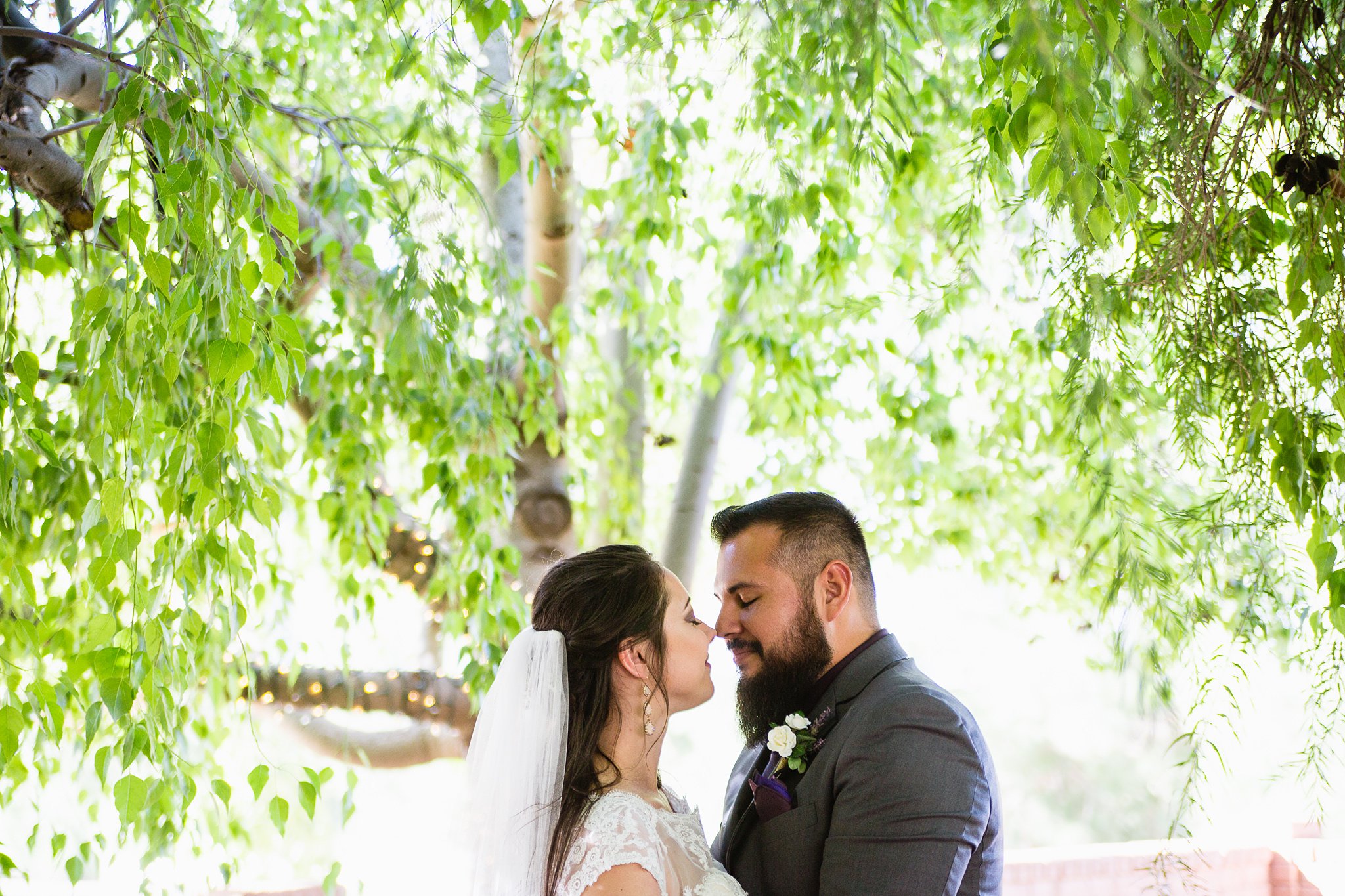 Bride and groom share an intimate moment in front of trees at wedding at Schnepf Farm's Farmhouse by Arizona wedding photographers PMA Photography.