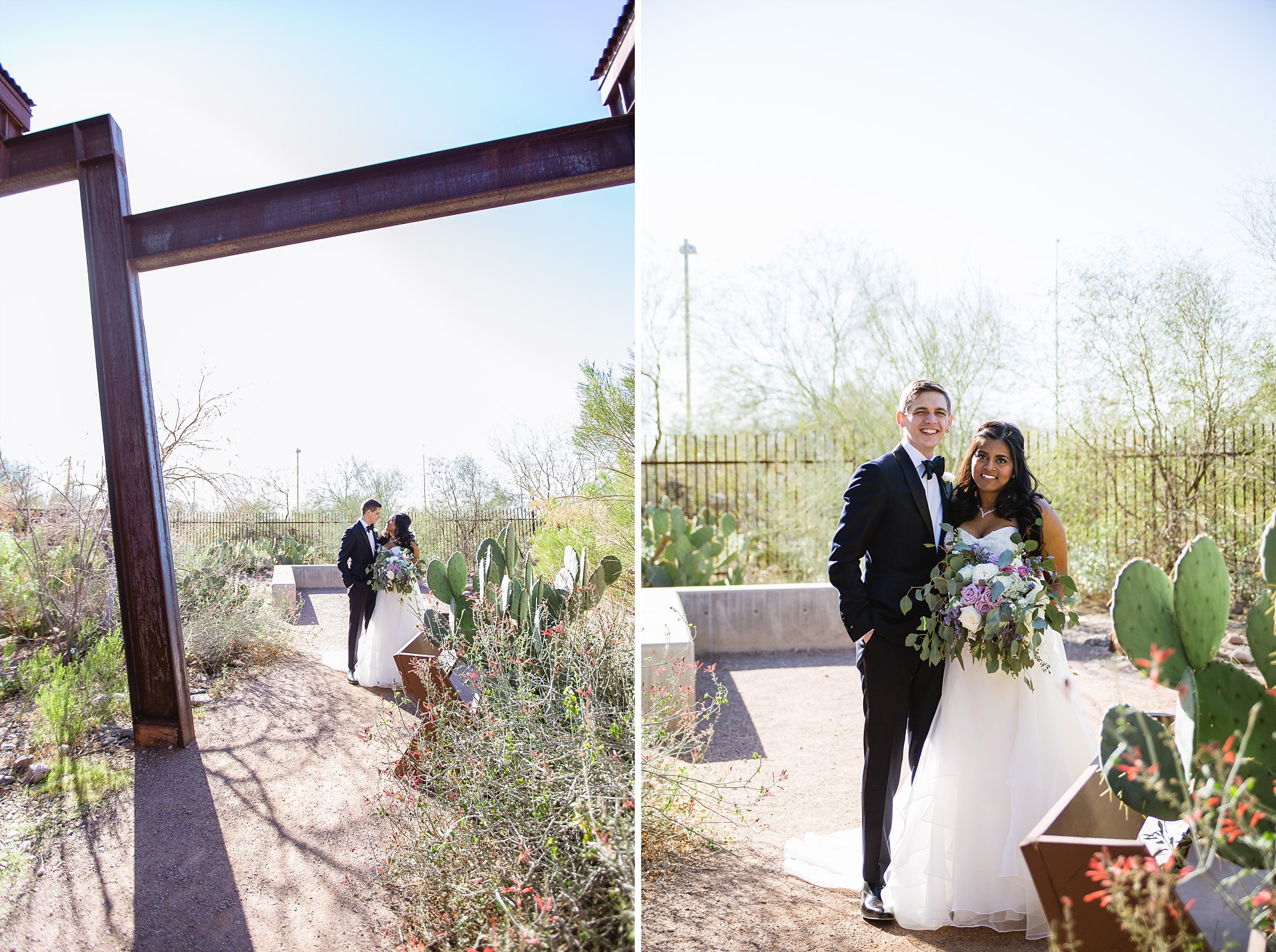 Bride and groom surrounded by the beauty of the winter desert at the Rio Salado Audubon Center by Phoenix wedding photographers PMA Photography.