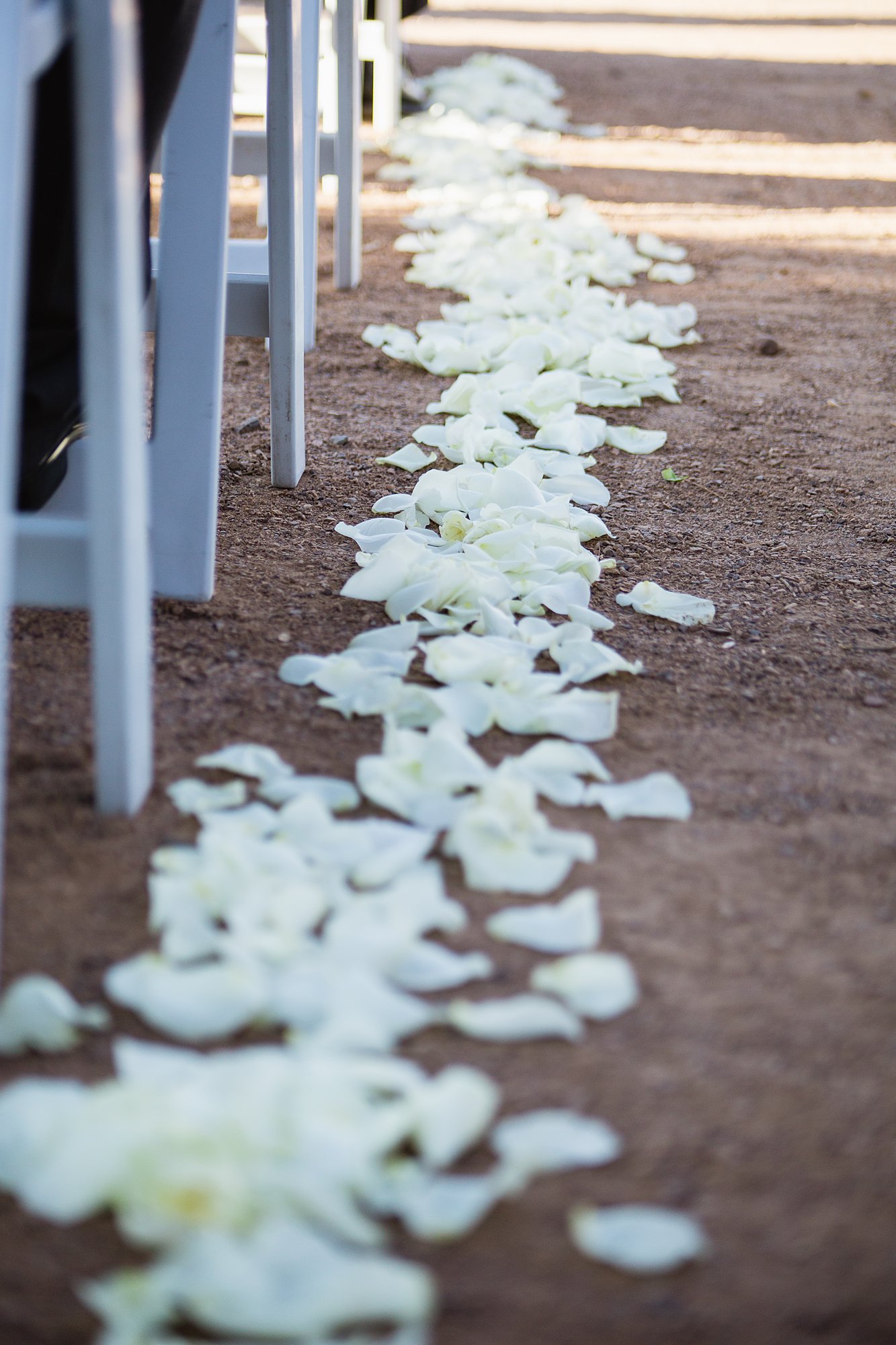 Detail image of white rose pedals lining the aisle for a wedding ceremony.