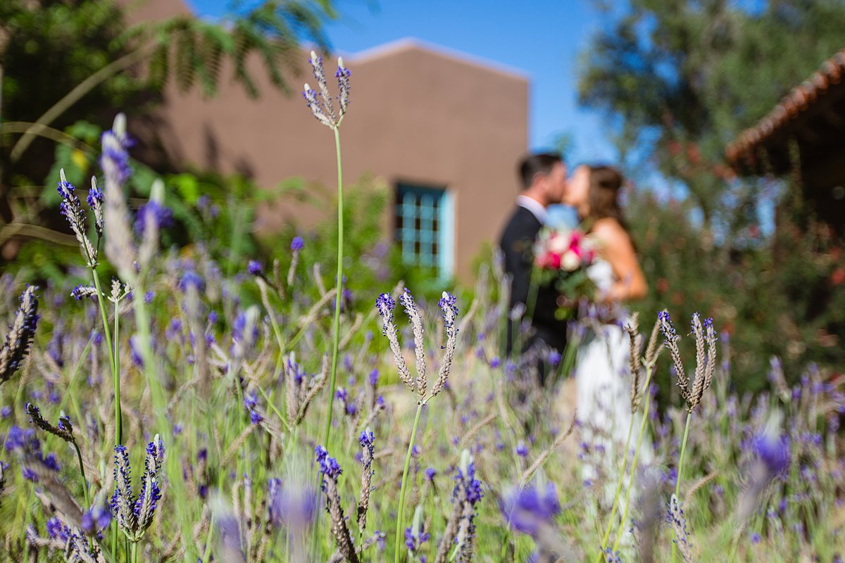 Bride and groom kiss behind a garden of lavender blooms at Hermosa Inn by Phoenix wedding photographer PMA Photography.