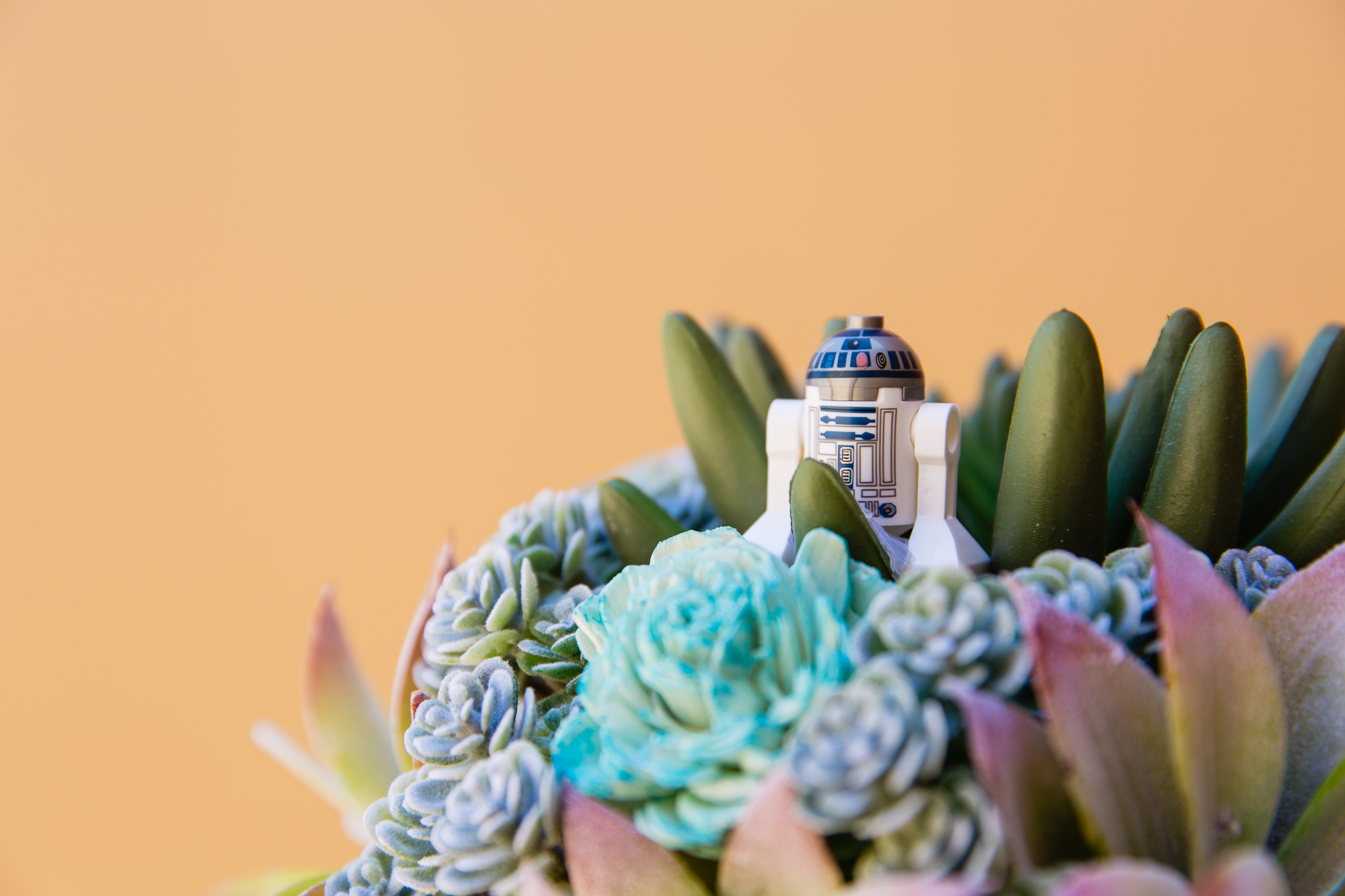 R2D2 in a wood flower and succulent bouquet at a Star Wars themed wedding by Arizona wedding photographer PMA Photography.