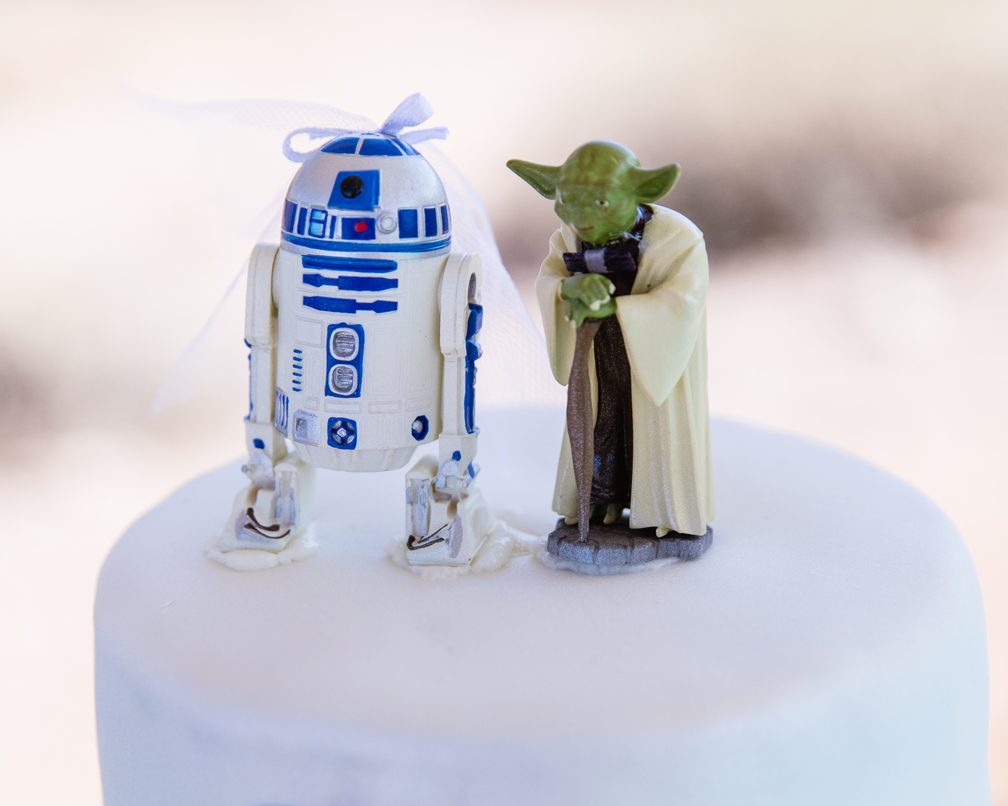 R2D2 with a veil and Yoda Star Wars wedding cake toppers by PMA Photography.