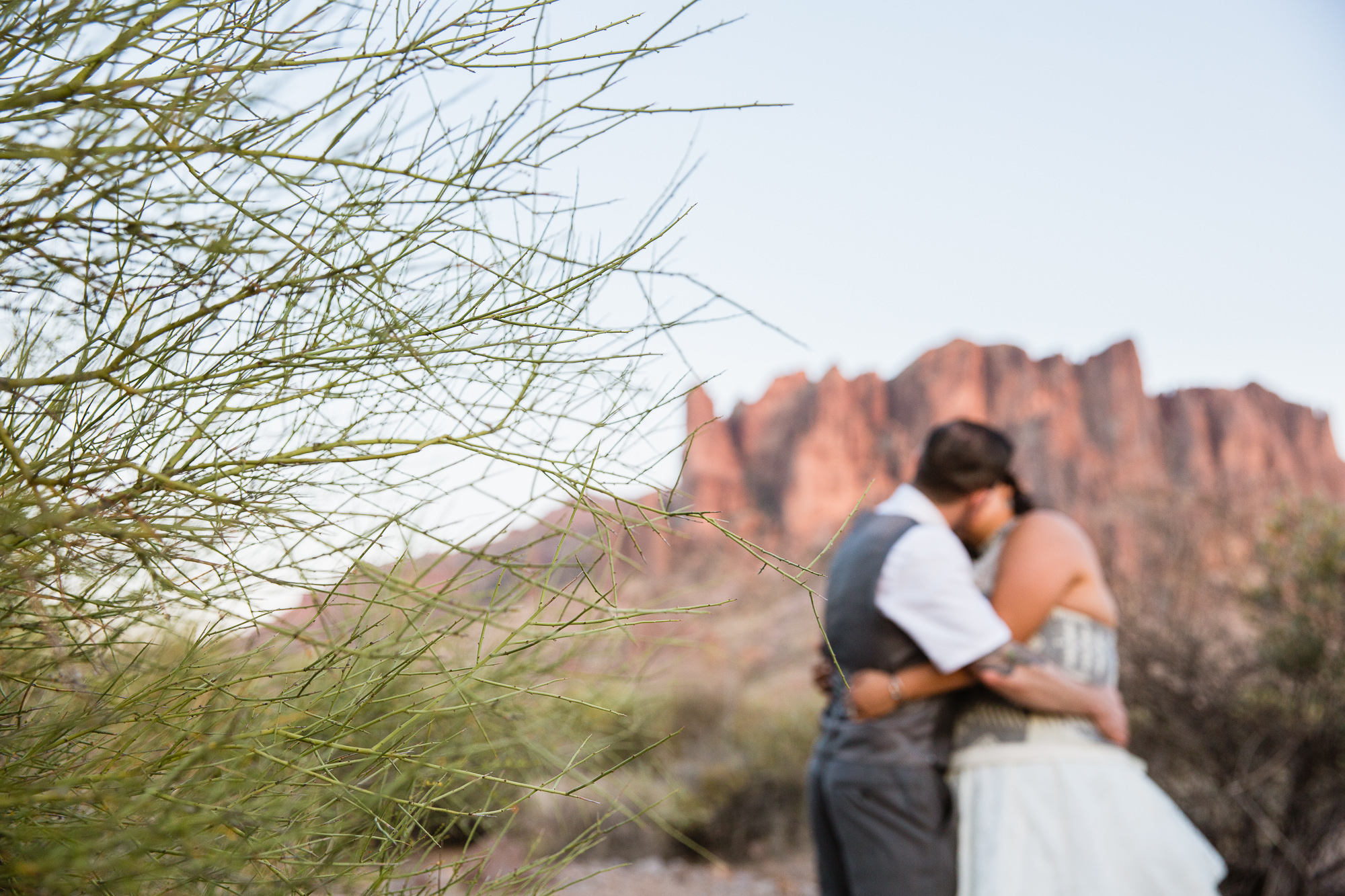 Bride and groom kissing at the superstition mountains through a palo verde tree at the Lost Dutchman State Park wedding by Arizona wedding photographers PMA Photography.