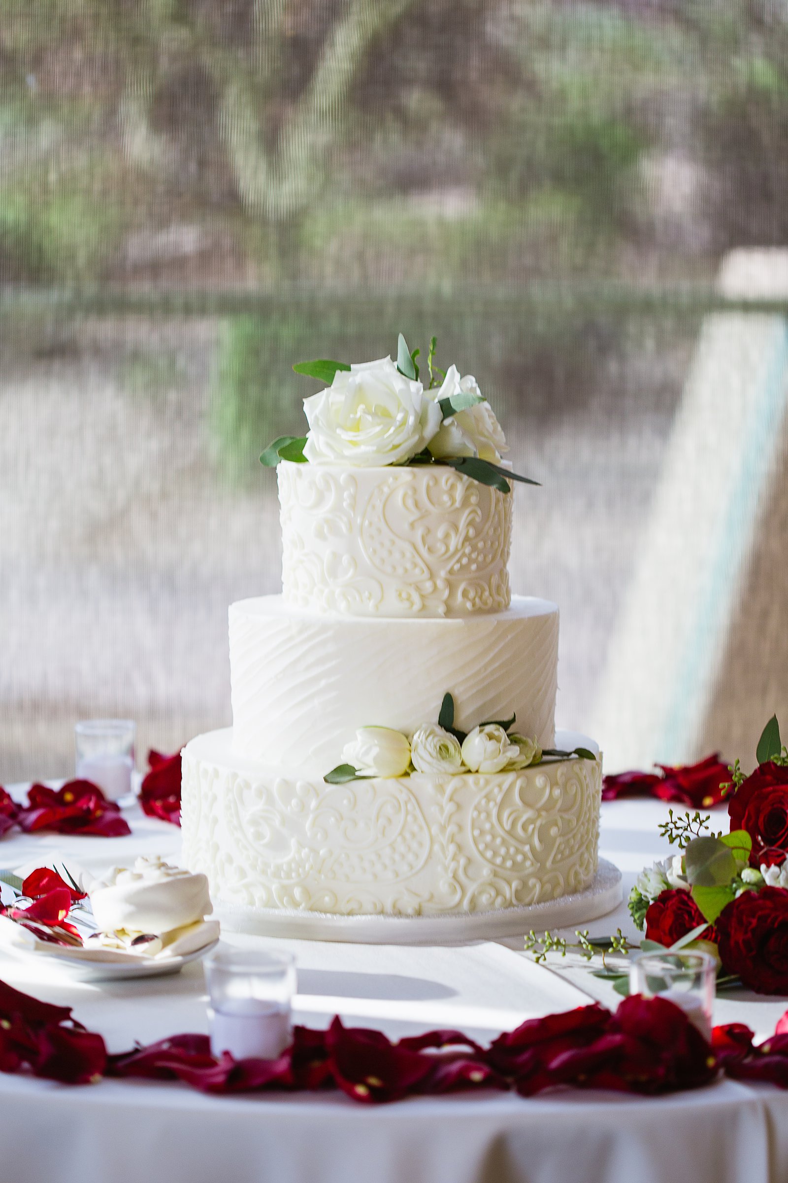 Simple white cake at Troon North wedding reception by Arizona wedding photographer PMA Photography.