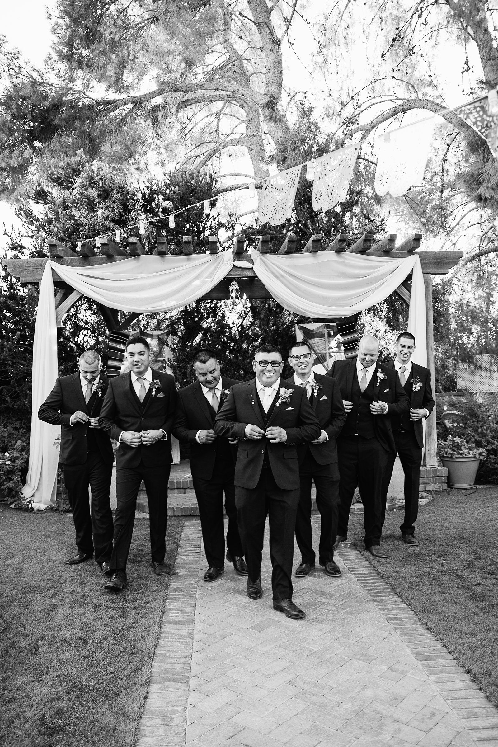 Groom and groomsmen laughing together at The Farmhouse at Schnepf Farms wedding by Queen Creek wedding photographer PMA Photography.