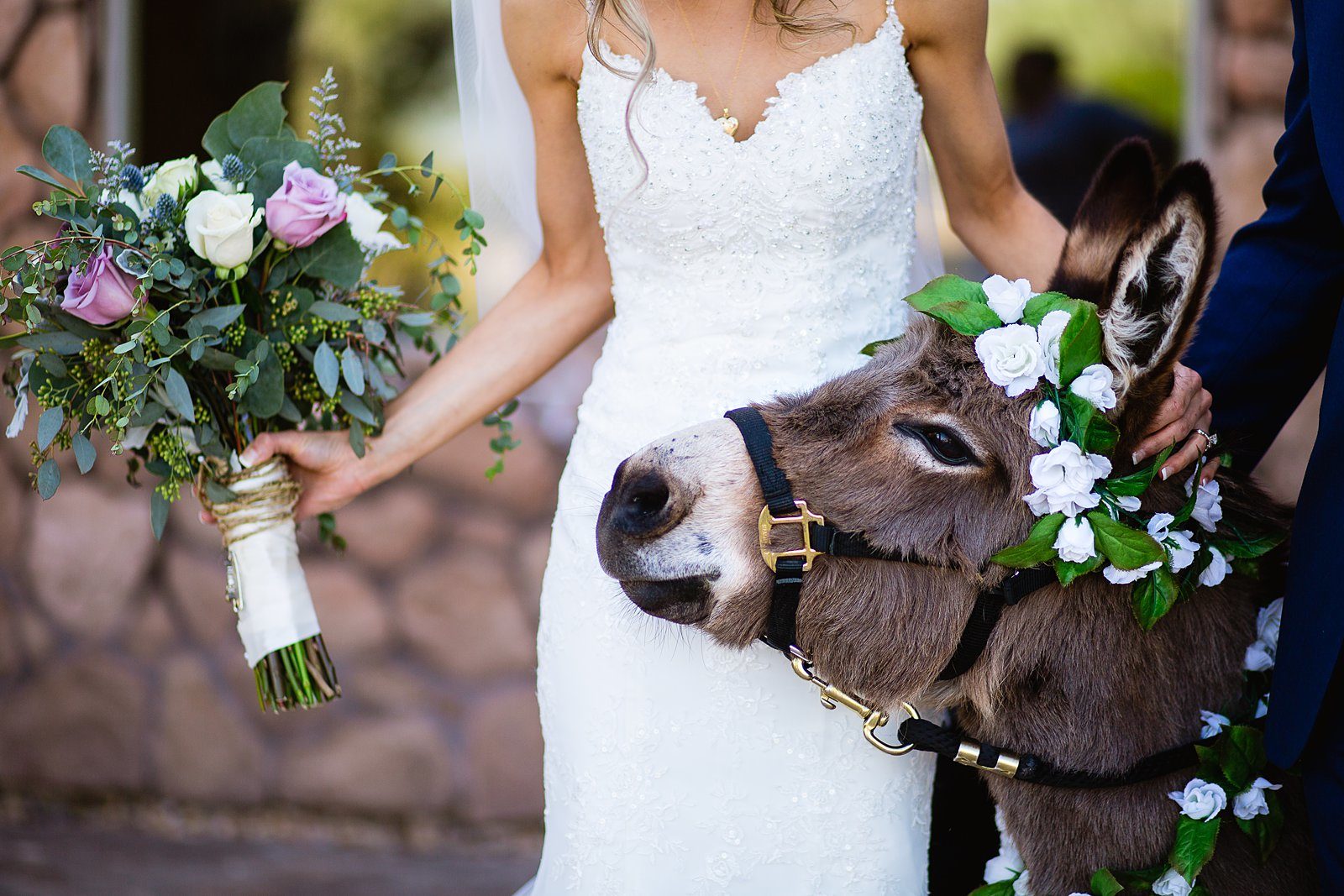 The beer burro trying to eat the bride's bouquet by Arizona wedding photographer PMA Photography.