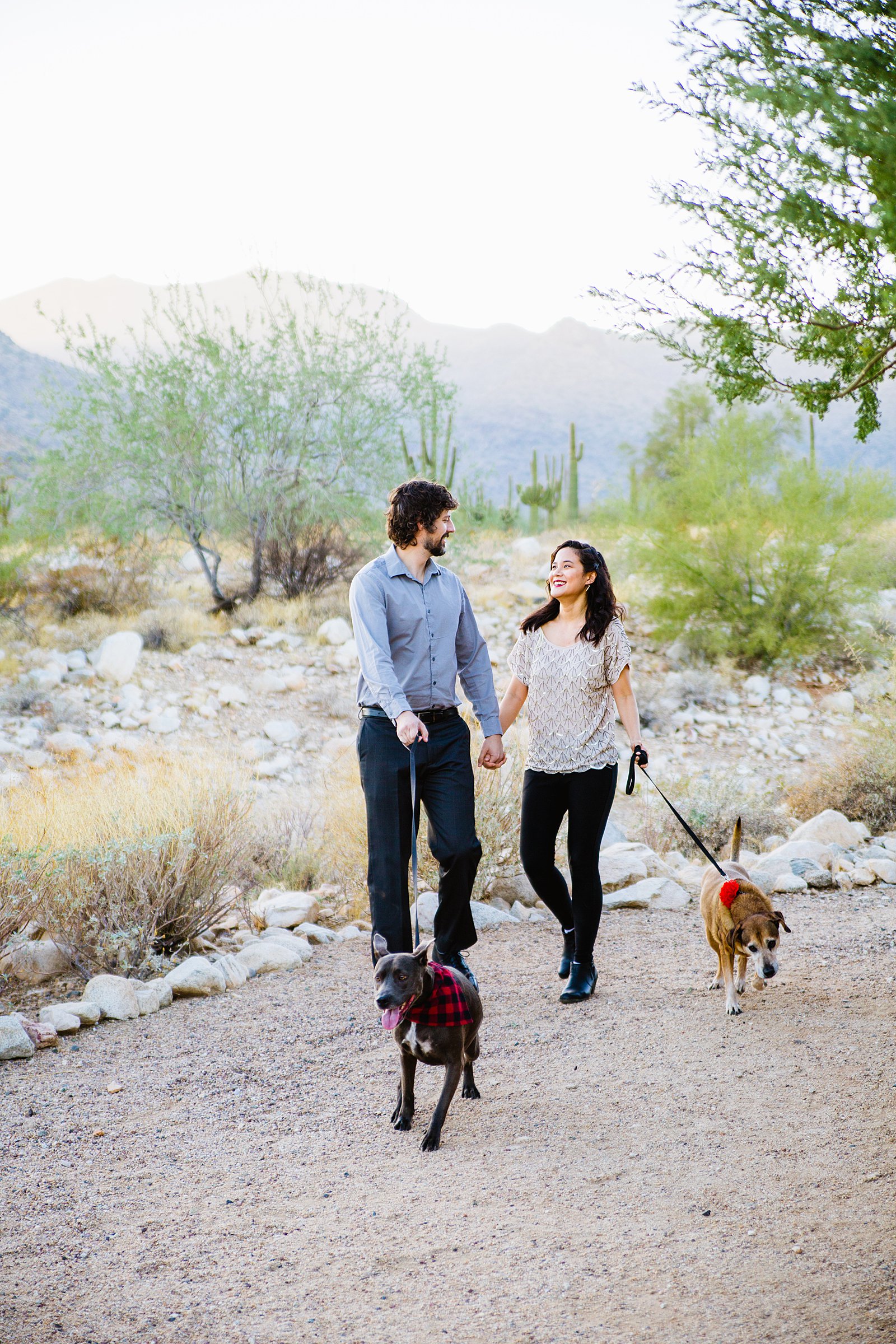 Couple walks with their dogs during their White Tanks family session by PMA Photography.