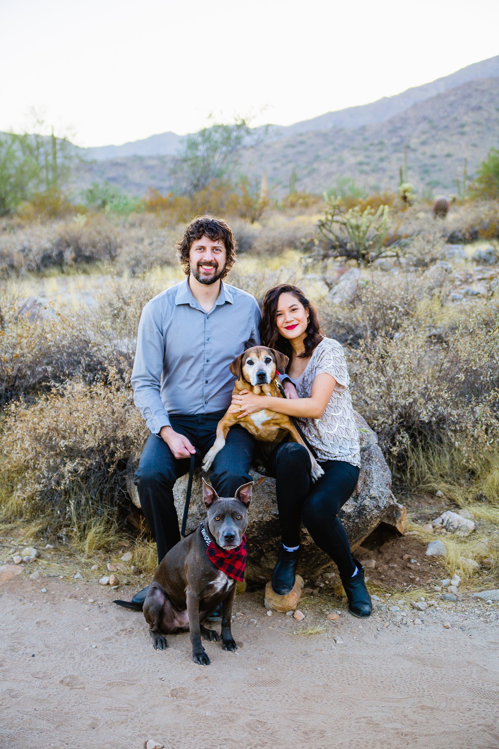 Couple poses together with their dogs during their Phoenix family session by Arizona wedding photographer PMA Photography.
