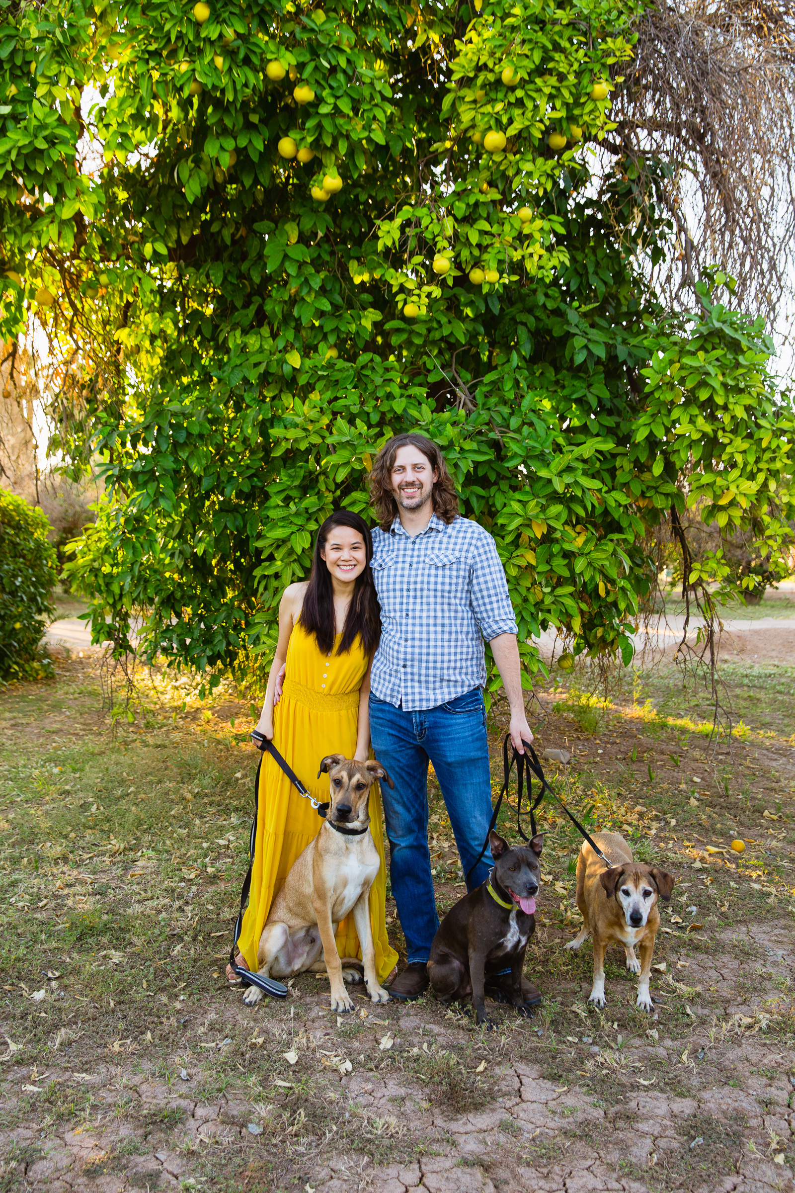 Couple pose with their dogs during their Glendale anniversary session by Arizona wedding photographer PMA Photography.