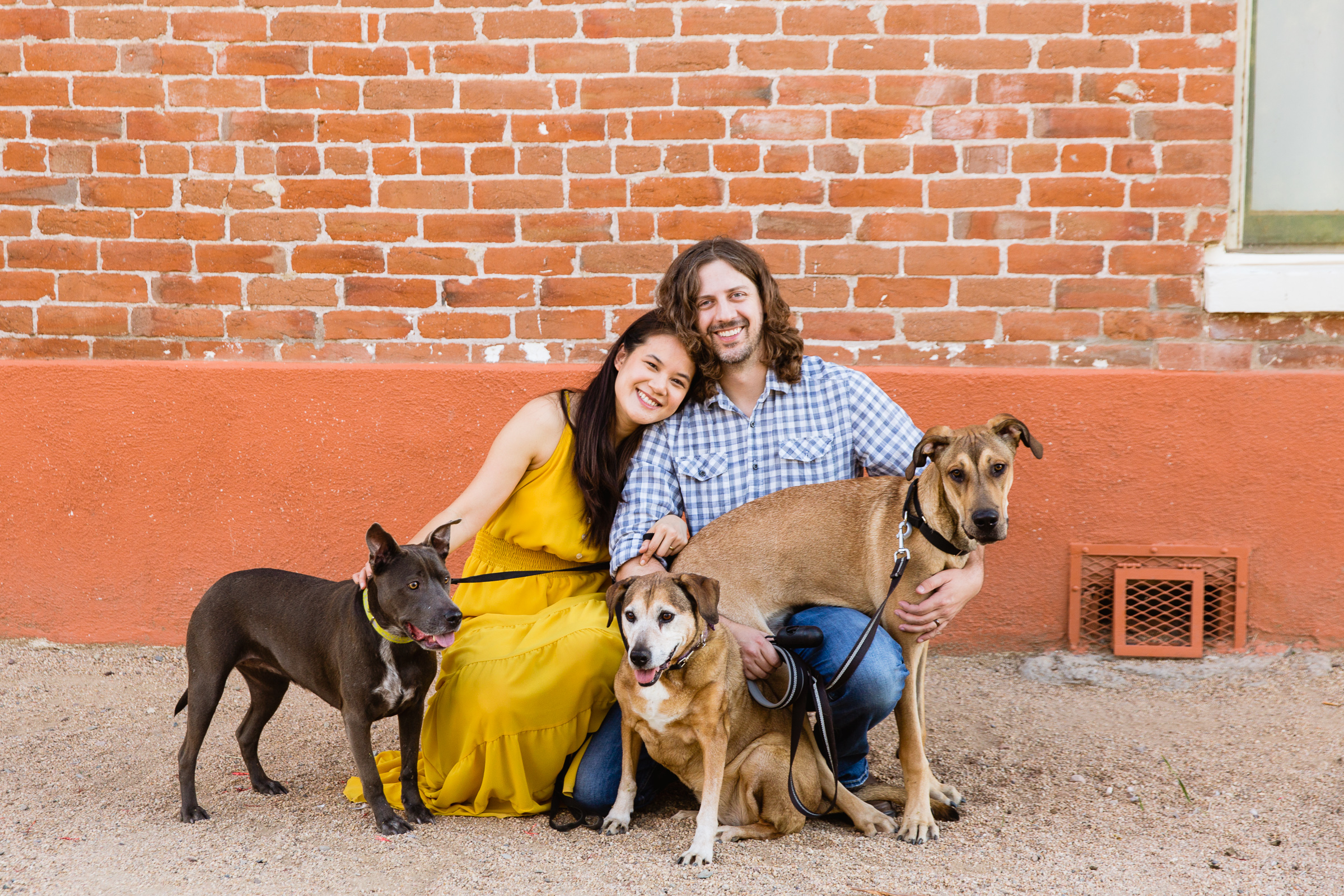 Couple pose with their dogs for their Sahuaro Ranch anniversary session by Glendale wedding photographer PMA Photography.