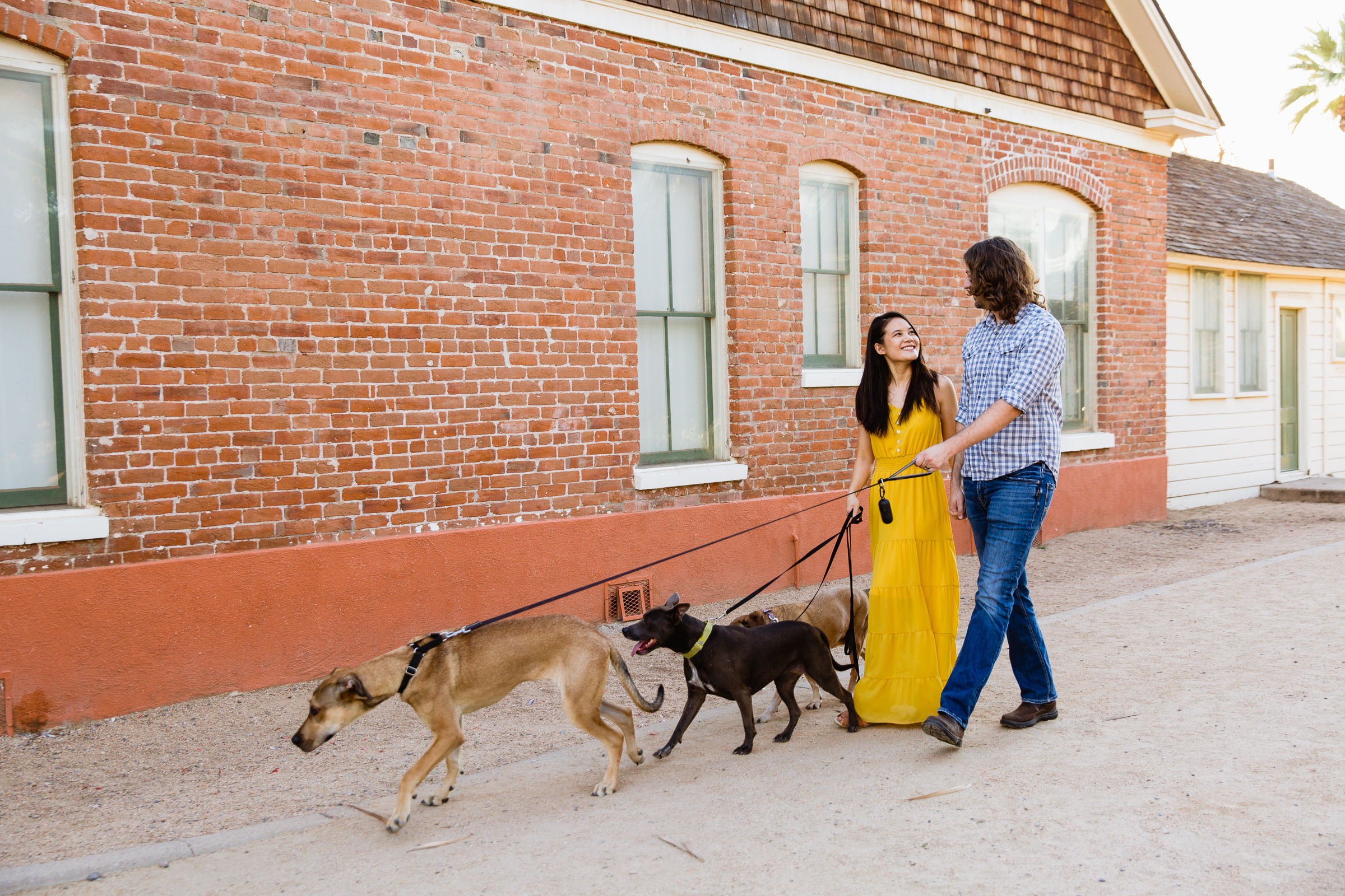 Couple walking together with their dogs during their Sahuaro Ranch anniversary session by Glendale engagement photographer PMA Photography.