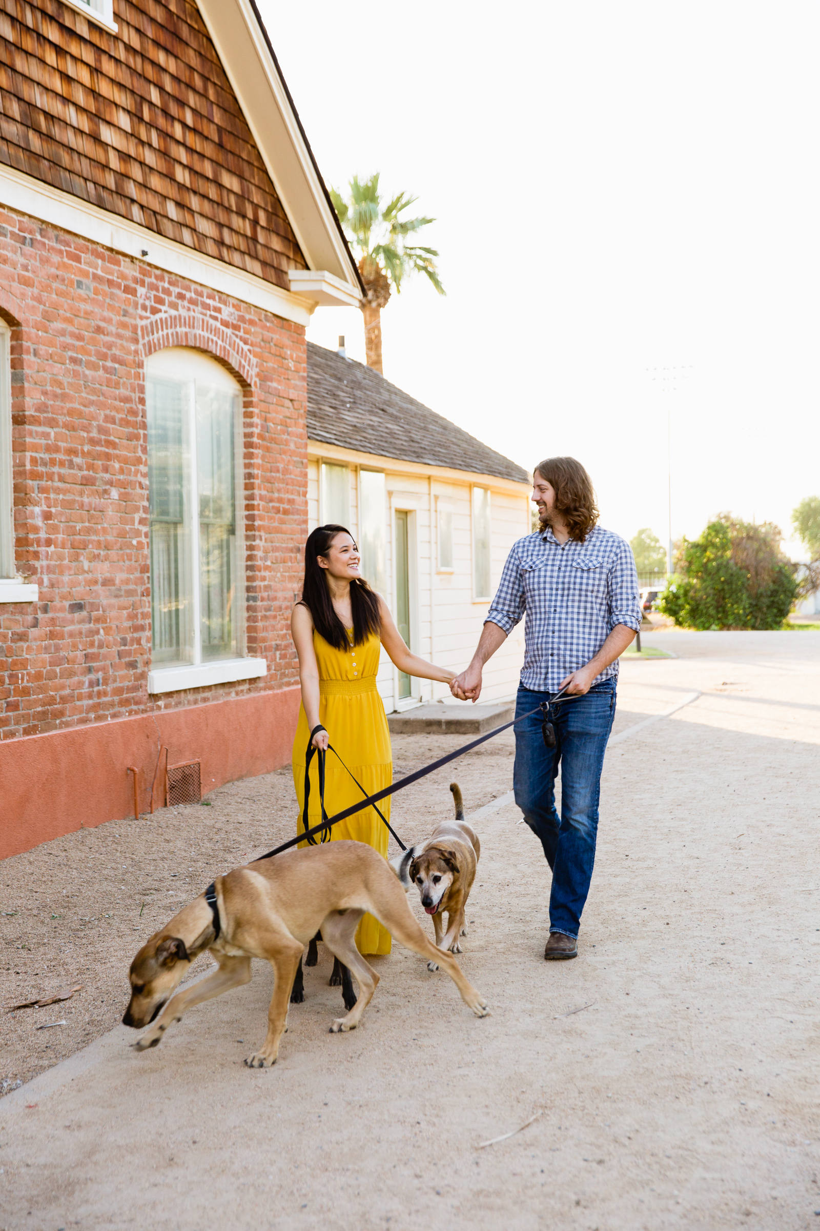 Couple walking together with their dogs during their Sahuaro Ranch anniversary session by Glendale engagement photographer PMA Photography.