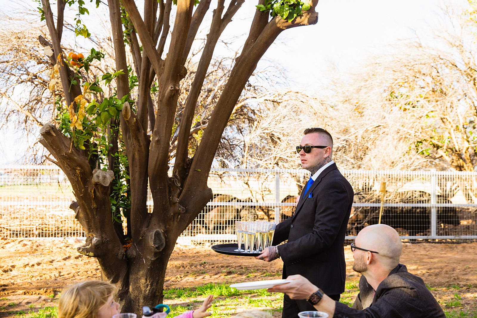 Groomsman handing out drinks for toasts at a 101 Polo club wedding reception by Tempe wedding photographer PMA Photography.