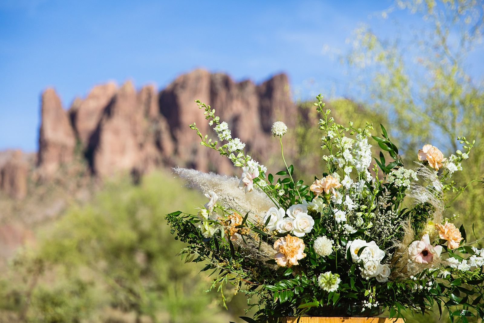 Wedding ceremony at Superstition Mountain Micro by Phoenix wedding photographer PMA Photography.