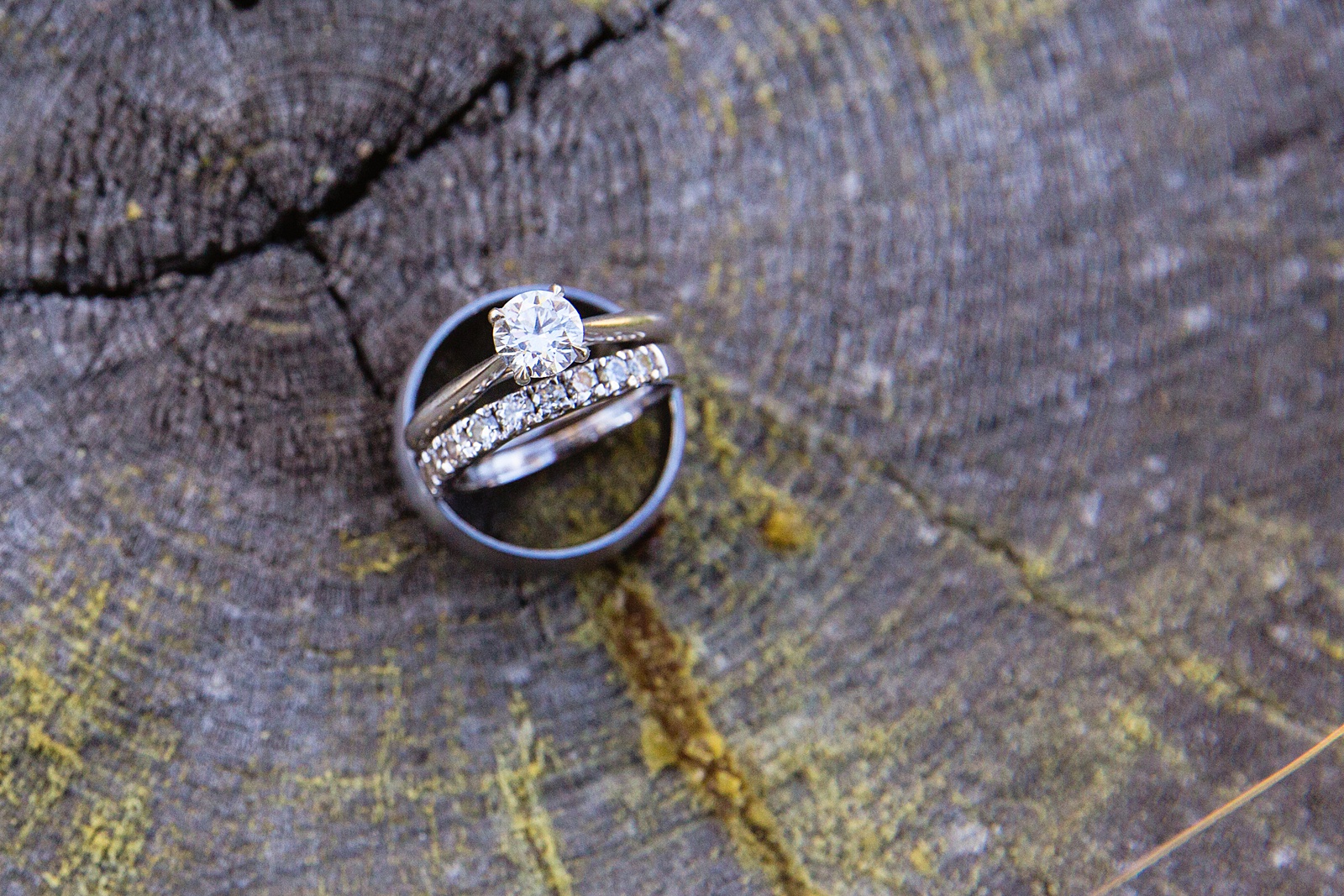 Bride and Groom's wedding day details of wedding rings on wood stump by PMA Photography.
