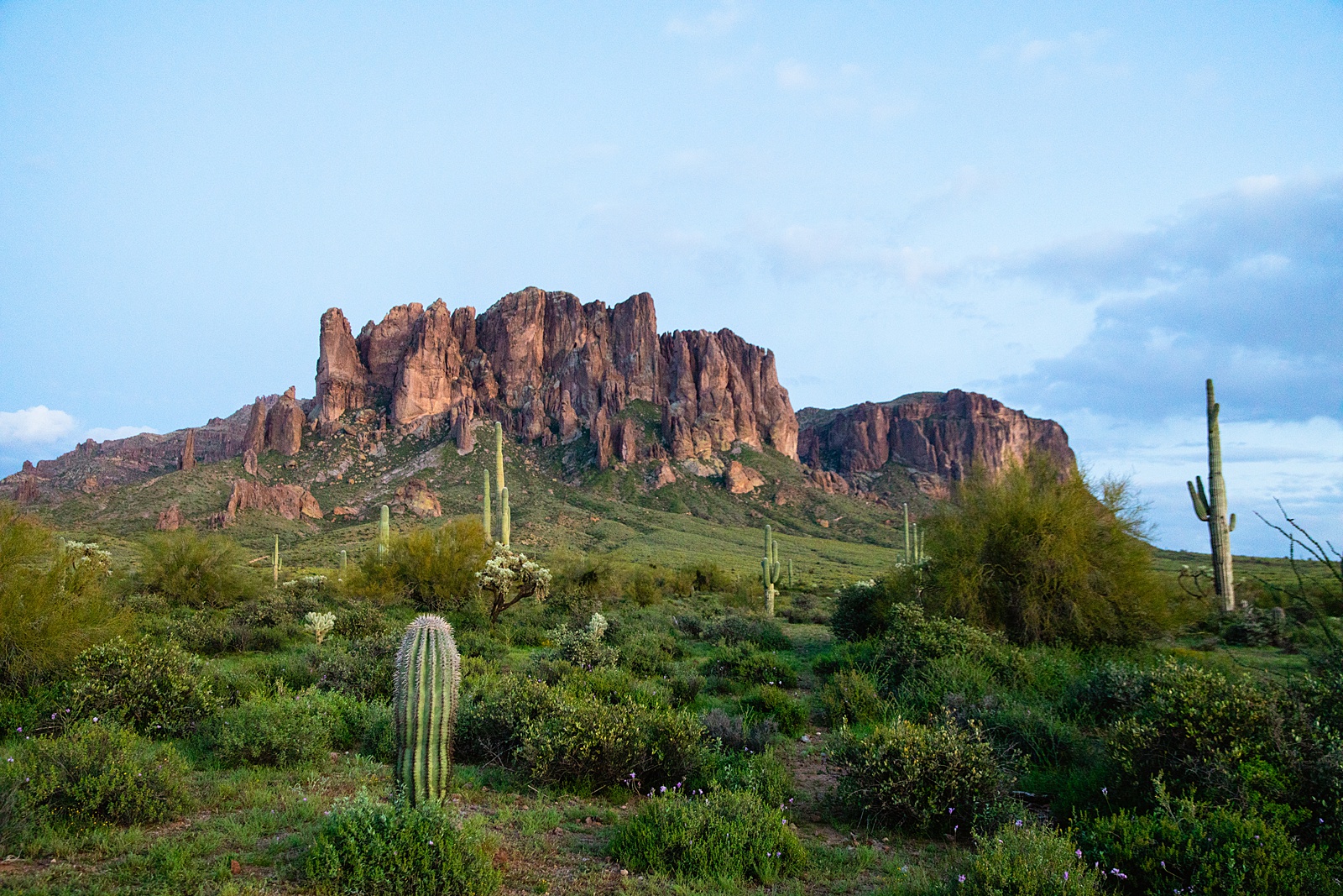 Detail image of Superstition Mountains during during engagement session by PMA Photography.