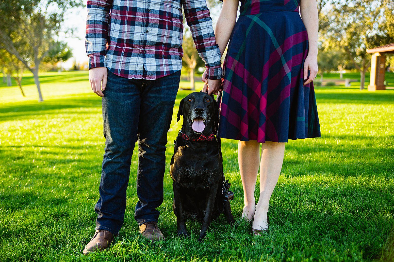 Couple pose with their dog at their Anthem Park engagement session by PMA Photography.