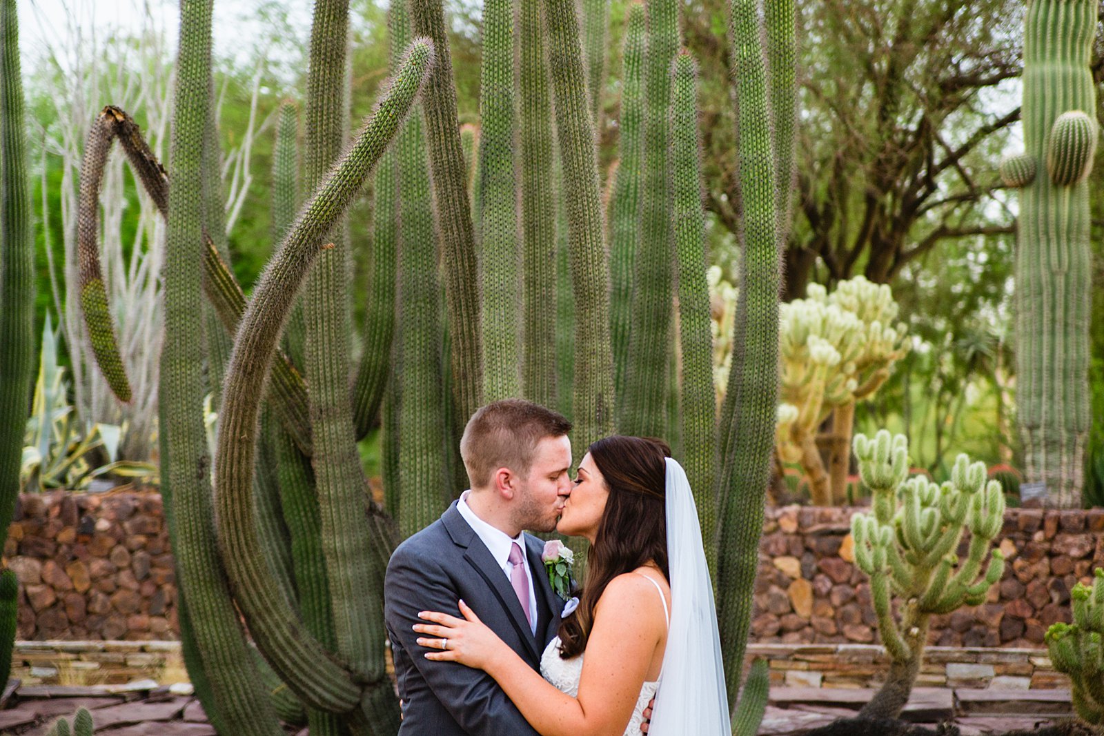 Bride and Groom share a kiss during their Desert Botanical Gardens wedding by Arizona wedding photographer PMA Photography.